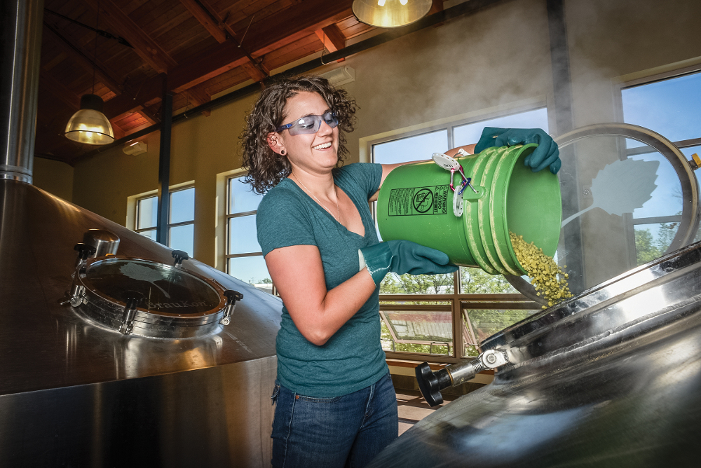 Die durchschnittliche Menge des von Craft Brauereien verwendeten Hopfens ist in den letzten Jahren auf 660 Gramm pro Hektoliter angestiegen (Foto: BA)