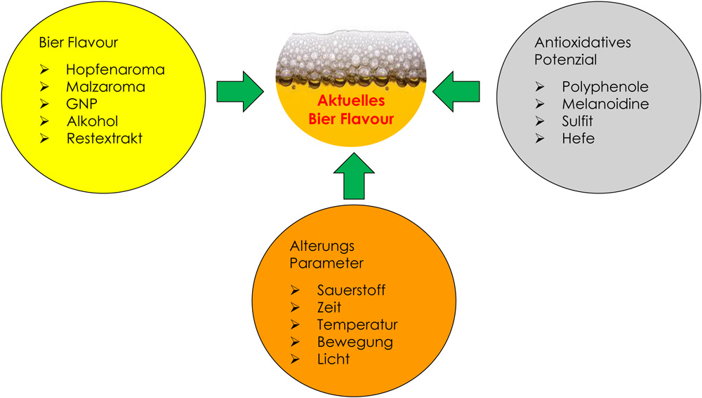 Darstellung der Einflussfaktoren auf das Bier-Flavor (Abbildung: Dr. Michael Zepf)
