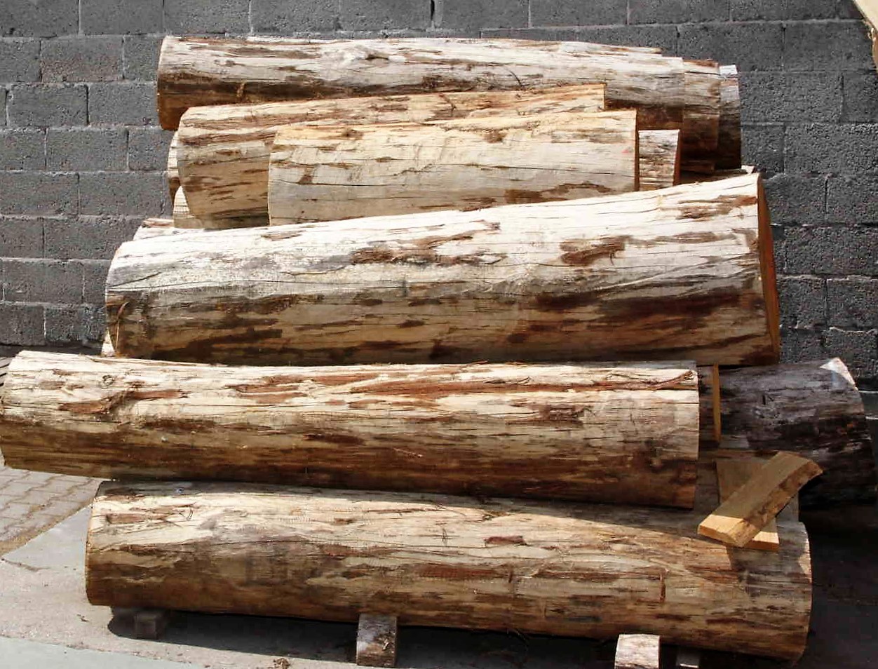 Eichenholz ist im Fassbau sehr beliebt – es gibt aber auch Fässer aus anderen Hölzern, Kastanie oder Akazie etwa