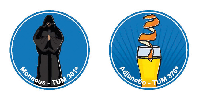 Beispiel zweier Hefe-Icons der TUM-Hefen Monacus – TUM 381© und Adjunctio – TUM 378© 